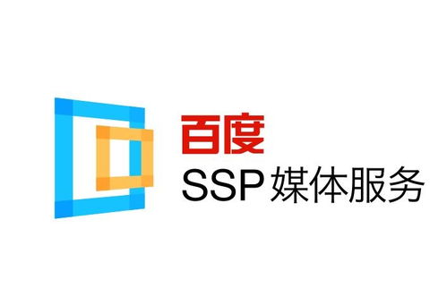 蜘蛛池出租选哪家